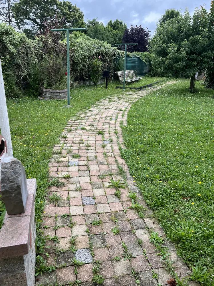 Avant : allée pavée envahie par les herbes