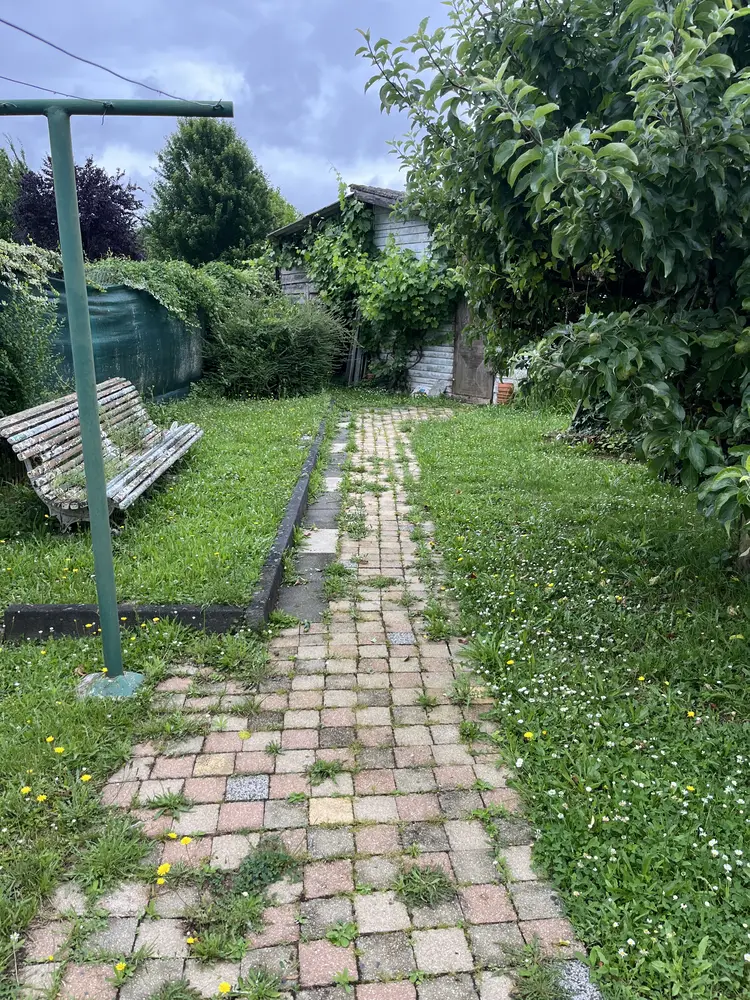 Avant : allée de jardin envahie par la mousse et les herbes